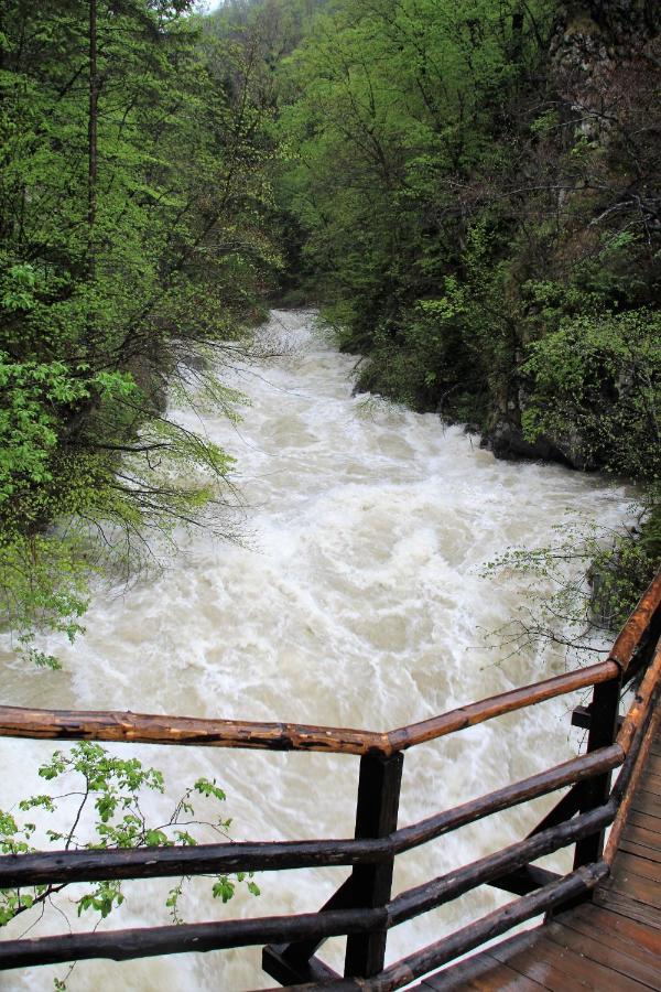 238 Spodnje Gorje Διαμέρισμα Εξωτερικό φωτογραφία