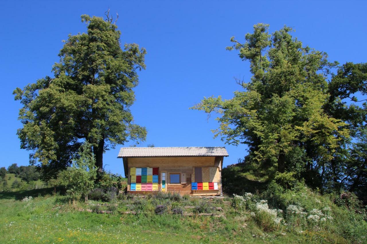 238 Spodnje Gorje Διαμέρισμα Εξωτερικό φωτογραφία