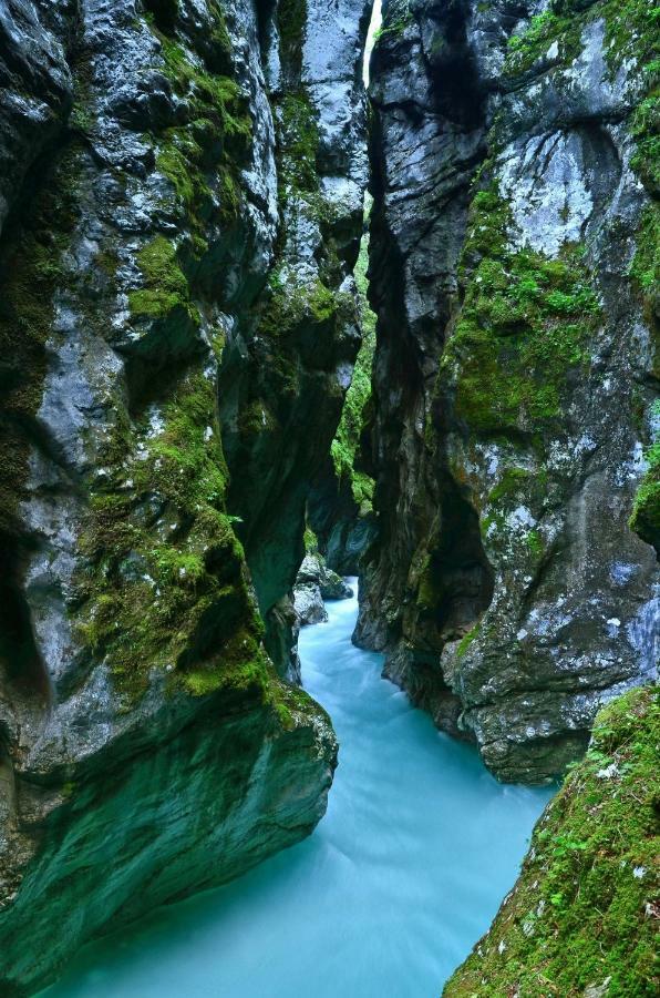 238 Spodnje Gorje Διαμέρισμα Εξωτερικό φωτογραφία